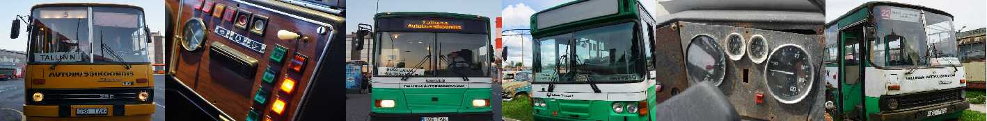 Older TLT bus preview